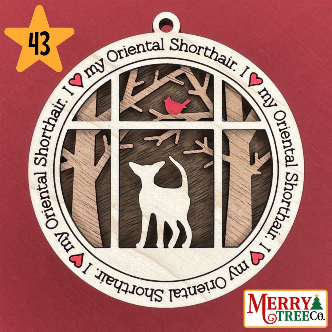 I ❤️ My Cat Series