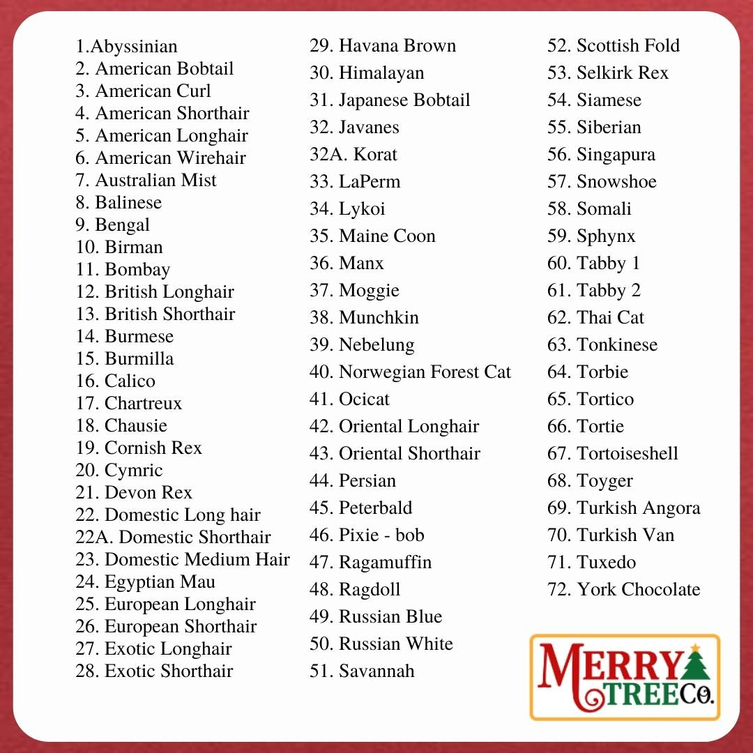 I ❤️ My Cat Series