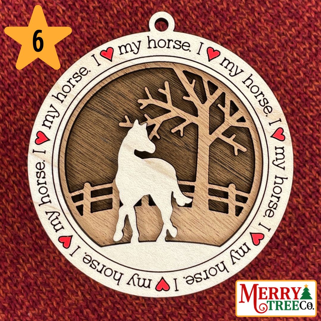 I ❤️ My Horse Series